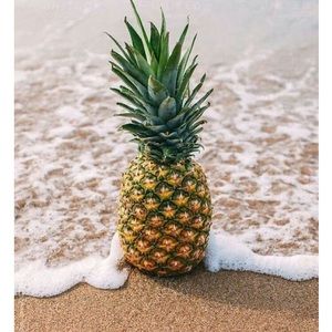 Meet your Posher, Harper